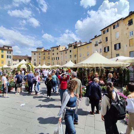 Casa Rosina + Box Per Auto 2 Bici 1,5Km Dalle Mura Lucca Eksteriør billede