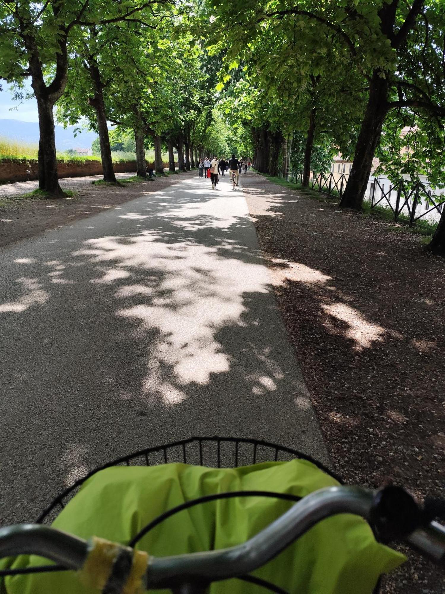 Casa Rosina + Box Per Auto 2 Bici 1,5Km Dalle Mura Lucca Eksteriør billede