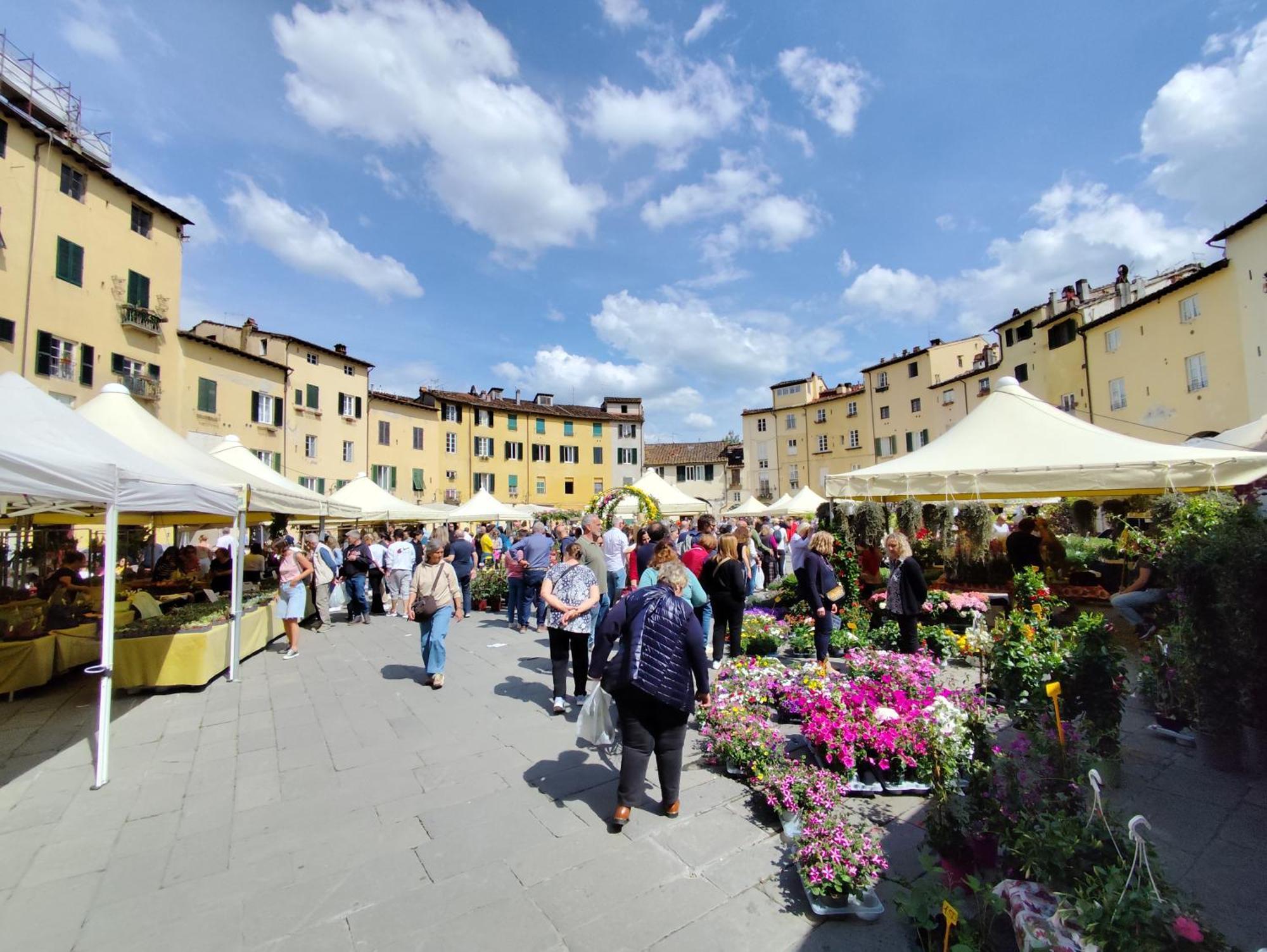 Casa Rosina + Box Per Auto 2 Bici 1,5Km Dalle Mura Lucca Eksteriør billede